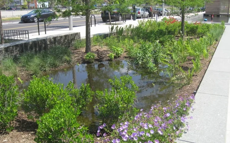 Jardin de pluie planté recueillant les eaux de ruissellement