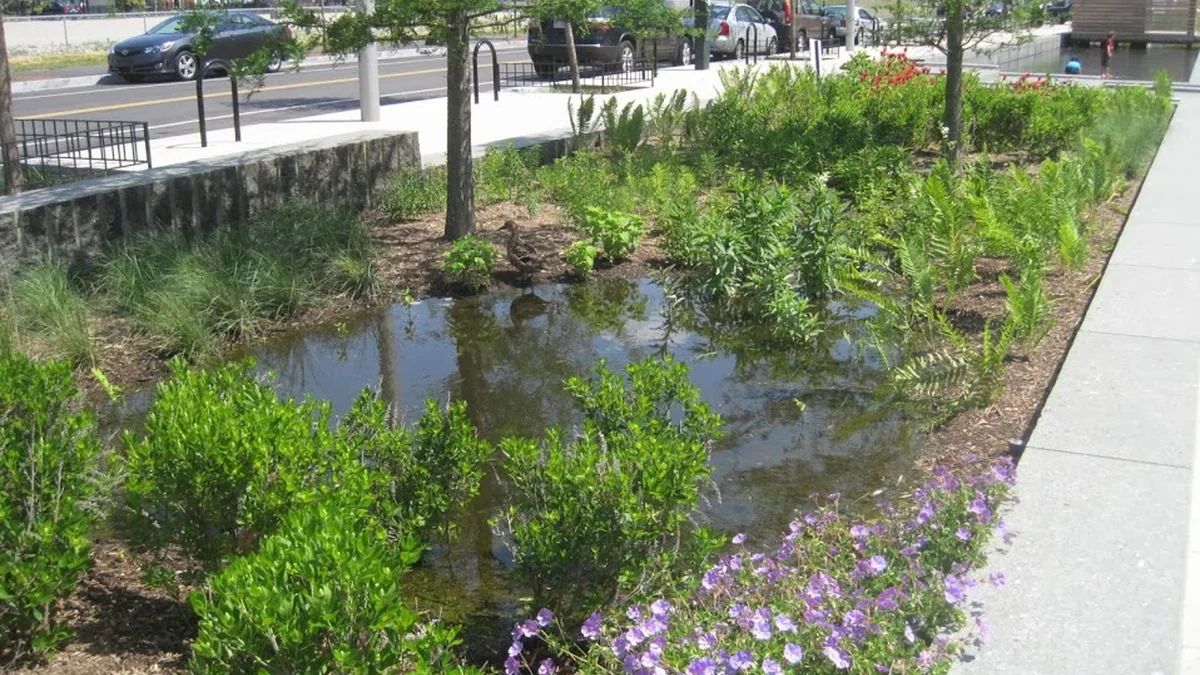 Jardin de pluie planté recueillant les eaux de ruissellement